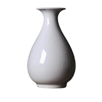 Compatible porzellan Jahrriesnge  for pure white vase cna0760 
