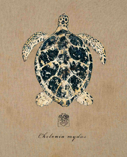 Compatible Stillleben Jahrriesnge  for tortoise-lpf00179 