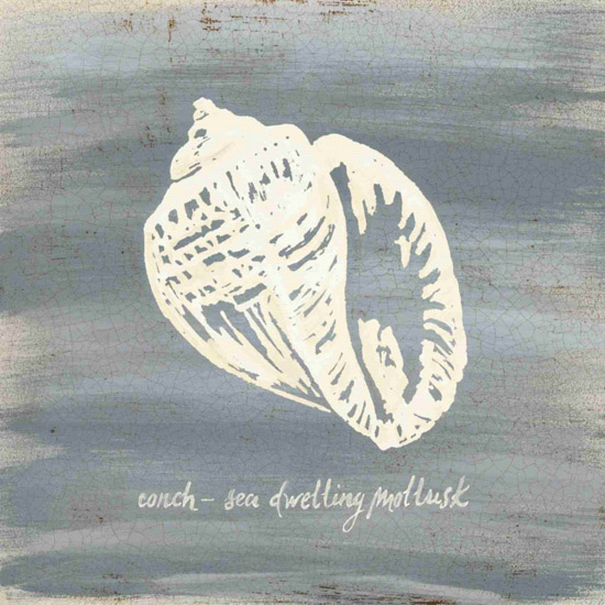 Compatible Stillleben Jahrriesnge  for conch-lpf00184 