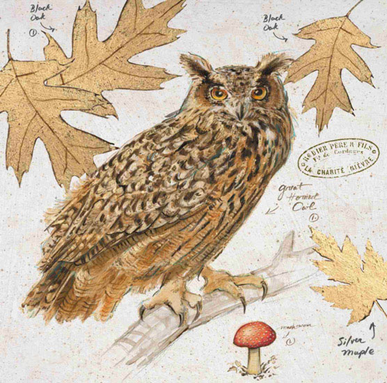 Compatible Stillleben Jahrriesnge  for owl-lpf00193 