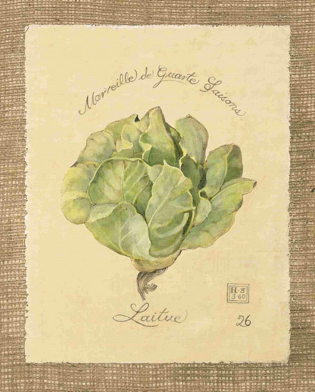 Compatible Stillleben Jahrriesnge  for laitue-lpf00283 