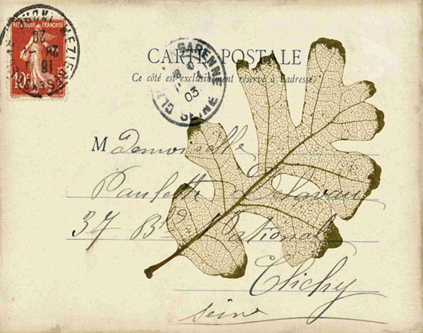 Compatible Stillleben Jahrriesnge  for leaf-lpf00487 