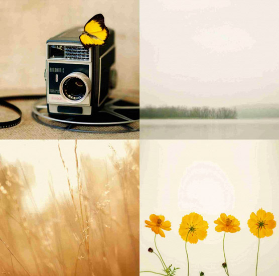 Compatible Stillleben Jahrriesnge  for untitle-lpf00525 