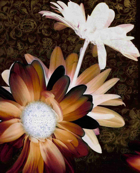 Compatible Blumen JAHRRIESNGE  for flower-lpf00570 