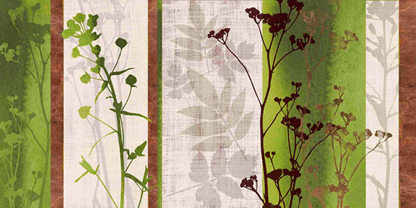 Compatible Landschaft JAHRRIESNGE  for grass-lpf00835 