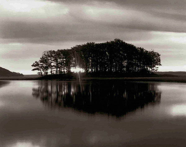 Compatible Landschaft JAHRRIESNGE  for sunset-lpf00855 