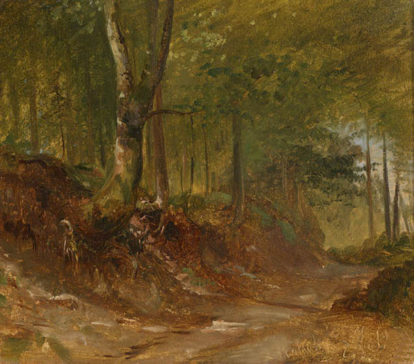 Compatible Landschaft JAHRRIESNGE  for forest-lpf01549 