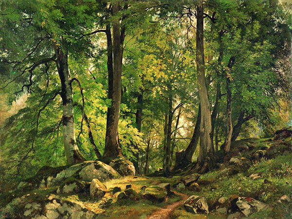 Compatible Landschaft JAHRRIESNGE  for tree-lpf01685 