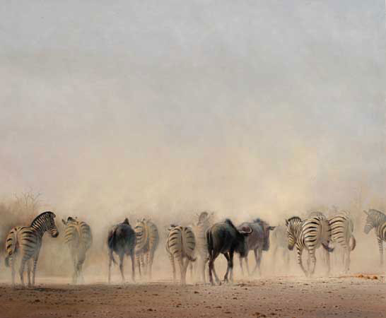 Compatible Tiere Jahrriesnge  for zebra-lpf02534 