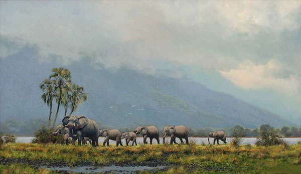 Compatible Tiere Jahrriesnge  for elephant-lpf02556 