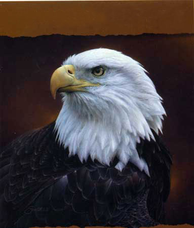 Compatible Tiere Jahrriesnge  for sea-eagle-lpf02575 