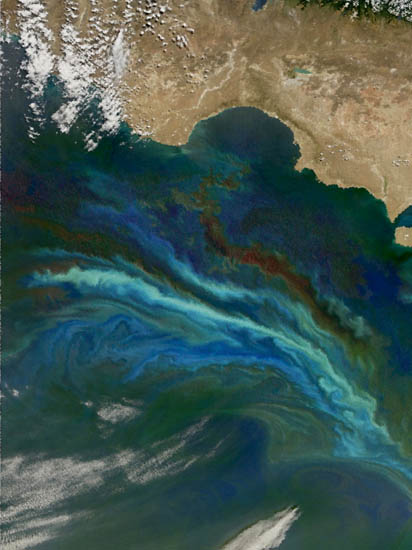 Compatible Abstrakt Jahrriesnge  for untitle-lpf02766 