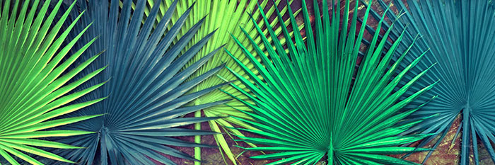 Compatible Blumen JAHRRIESNGE  for flowers lpf04592 