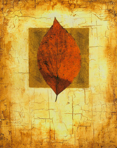 Compatible Blumen JAHRRIESNGE  for leaf lpf04637 