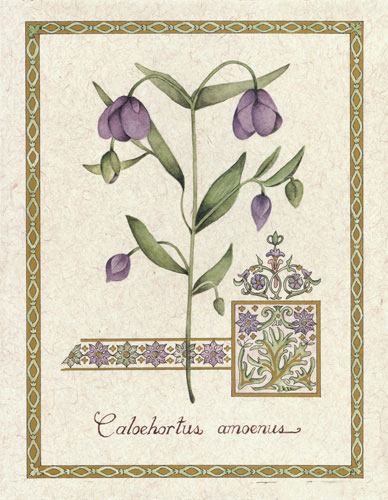 Compatible Blumen JAHRRIESNGE  for flower lpf04737 