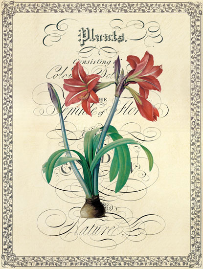 Compatible Blumen JAHRRIESNGE  for flower lpf04740 