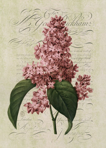 Compatible Blumen JAHRRIESNGE  for flowers lpf04757 