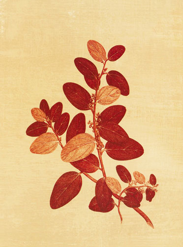 Compatible Blumen JAHRRIESNGE  for flowers lpf04760 