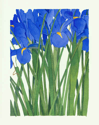 Compatible Blumen JAHRRIESNGE  for flowers lpf04910 