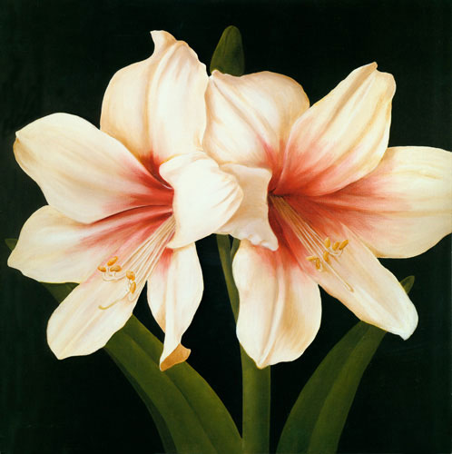 Compatible Blumen JAHRRIESNGE  for flowers lpf04951 