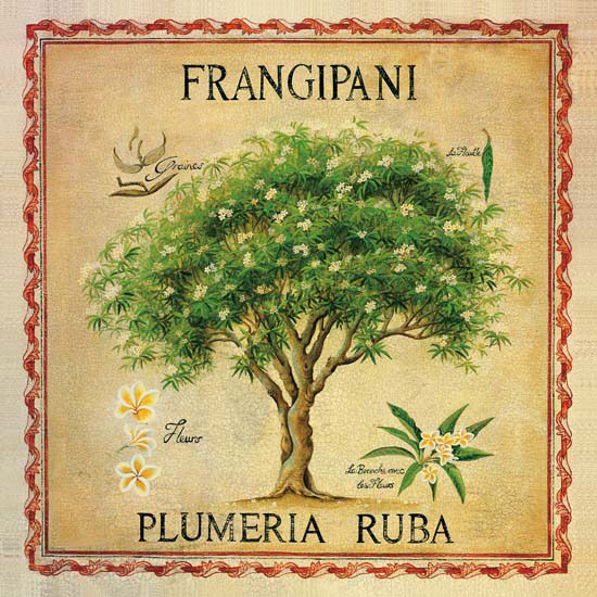 Compatible Blumen JAHRRIESNGE  for flowers lpf04957 