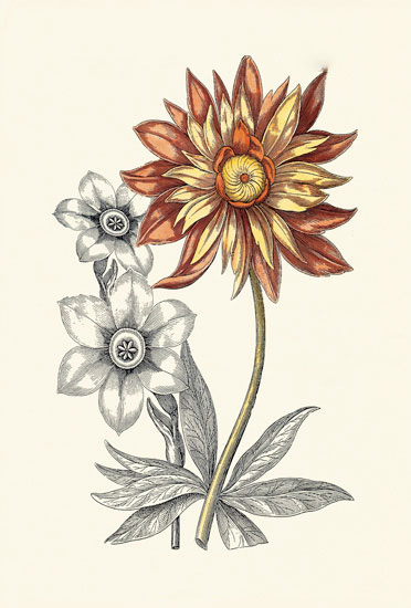 Compatible Blumen JAHRRIESNGE  for flowers-lpf06621 