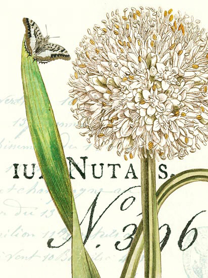 Compatible Blumen JAHRRIESNGE  for flowers-lpf06637 