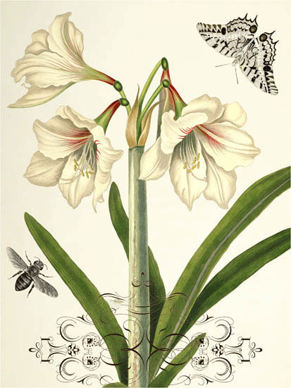 Compatible Blumen JAHRRIESNGE  for flowers-lpf06639 