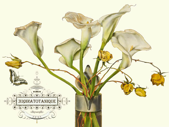 Compatible Blumen JAHRRIESNGE  for flowers-lpf06640 