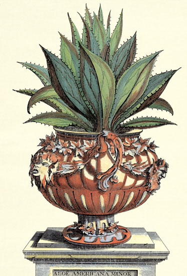 Compatible Blumen JAHRRIESNGE  for flowers-lpf06773 