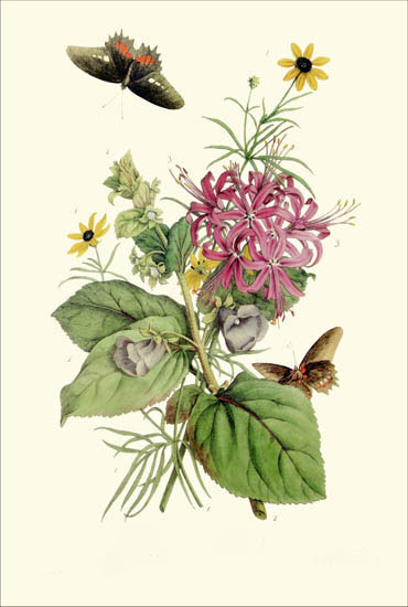 Compatible Blumen JAHRRIESNGE  for flowers-lpf06786 