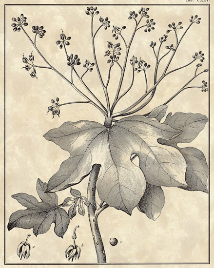 Compatible Blumen JAHRRIESNGE  for flowers-lpf06799 