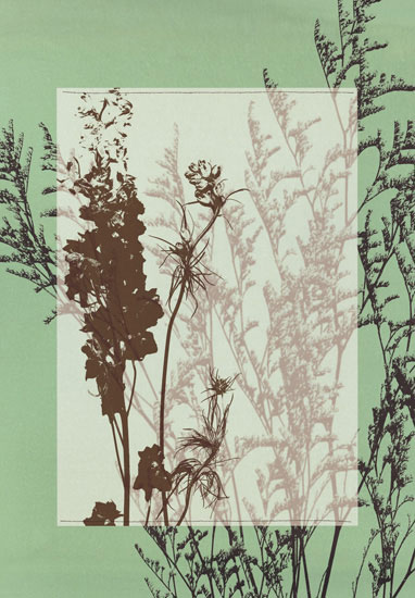 Compatible Blumen JAHRRIESNGE  for flowers-lpf06813 