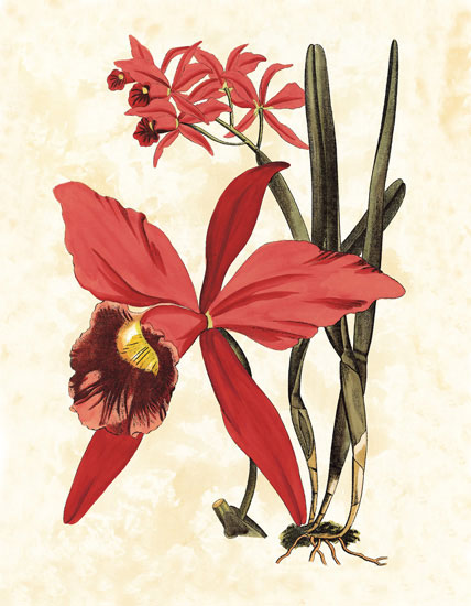 Compatible Blumen JAHRRIESNGE  for flowers-lpf06830 