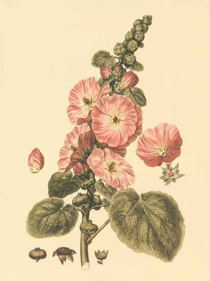 Compatible Blumen JAHRRIESNGE  for flowers-lpf06851 