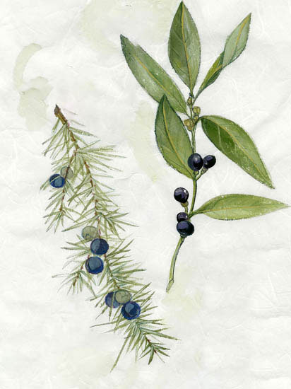 Compatible Blumen JAHRRIESNGE  for flowers-lpf06913 