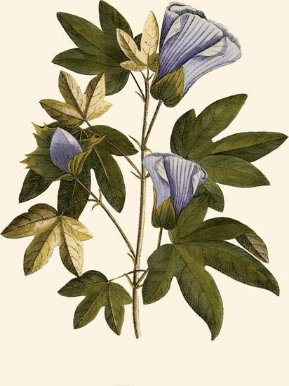 Compatible Blumen JAHRRIESNGE  for flowers-lpf06996 