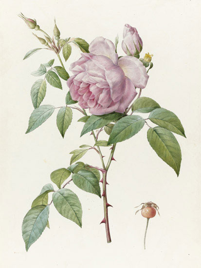 Compatible Blumen JAHRRIESNGE  for flowers-lpf07019 