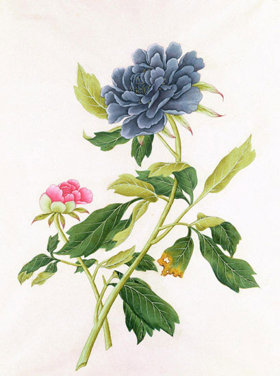 Compatible Blumen JAHRRIESNGE  for flowers-lpf07045 