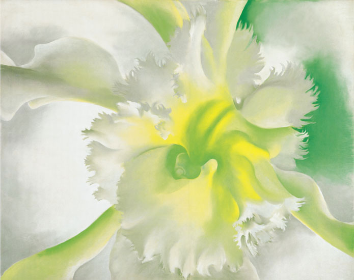 Compatible Blumen JAHRRIESNGE  for flowers-lpf07059 