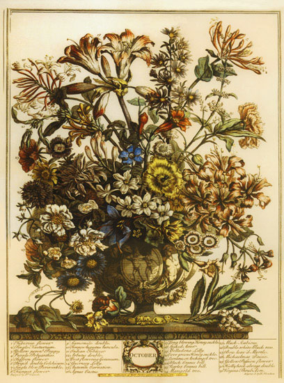 Compatible Blumen JAHRRIESNGE  for flowers-lpf07095 