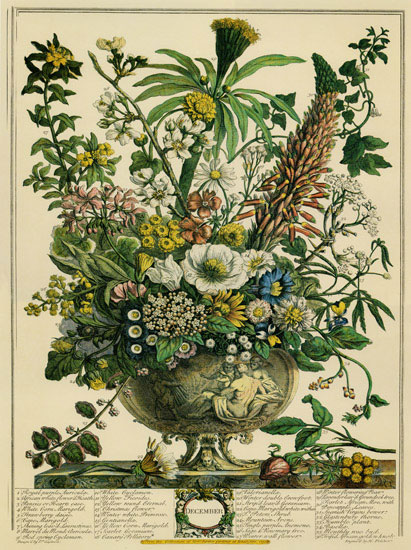 Compatible Blumen JAHRRIESNGE  for flowers-lpf07097 