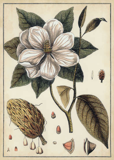 Compatible Blumen JAHRRIESNGE  for flowers-lpf07112 