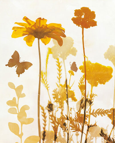 Compatible Blumen JAHRRIESNGE  for flowers-lpf07156 