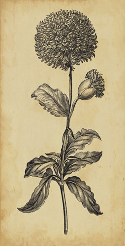 Compatible Blumen JAHRRIESNGE  for flowers-lpf07202 