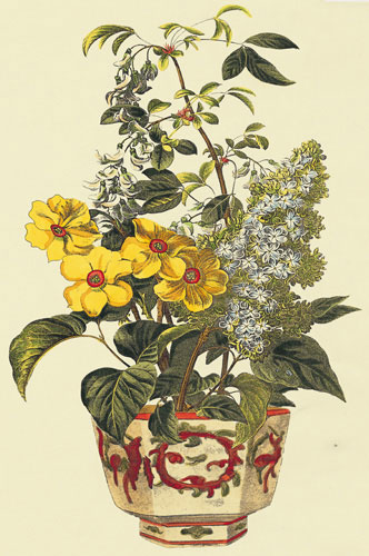 Compatible Blumen JAHRRIESNGE  for flowers-lpf07237 