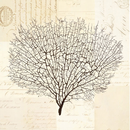 Compatible Blumen JAHRRIESNGE  for flowers-lpf07307 