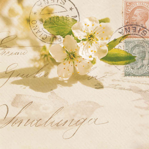 Compatible Blumen JAHRRIESNGE  for flowers-lpf07387 