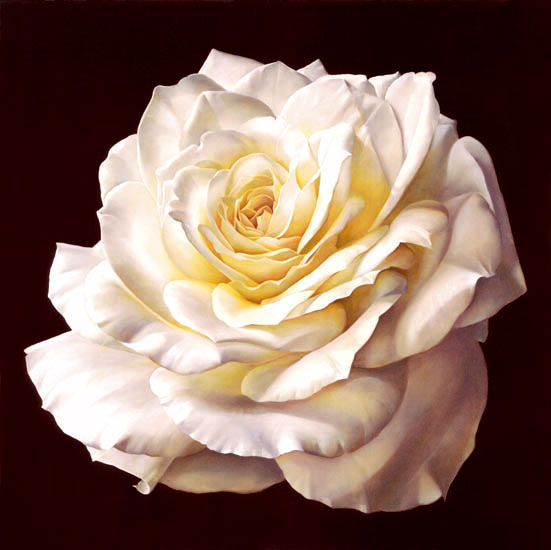 Compatible Blumen JAHRRIESNGE  for flowers-lpf07541 