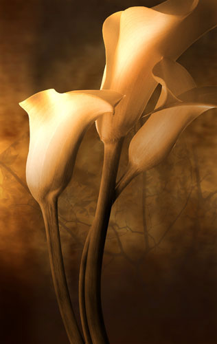 Compatible Blumen JAHRRIESNGE  for flowers-lpf07591 